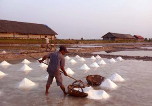 Salt fields outside Kampot